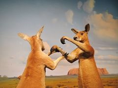 -陕西自然博物馆