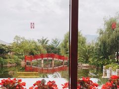-昆明华邑酒店-鲜艳全日餐厅