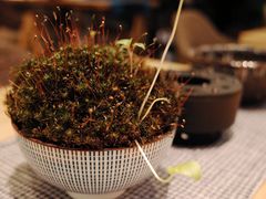 -扫雪煮茶(西村店)