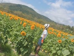 -亚龙湾国际玫瑰谷