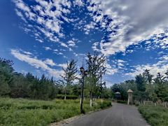 -永定河休闲森林公园