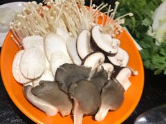 -城南老友羊蝎子火锅(花乡奥莱店)