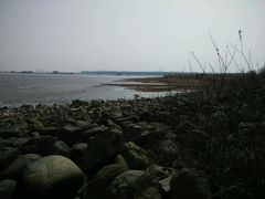 -吴淞炮台湾湿地森林公园烧烤区
