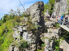 -张关合渣(航空大道店)