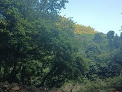 -雅鲁激流探险漂流