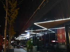 -金尚源SHANG