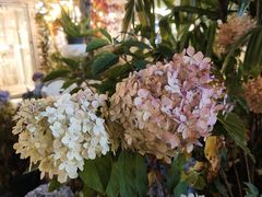 -秀儿家の小确幸花园西餐厅