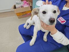 -爱派特动物医院·全科诊疗中心