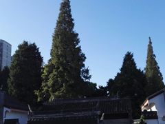 -松江清真寺