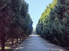 -秦始皇帝陵博物院-丽山园