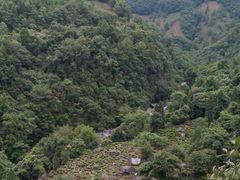 -石台牯牛降景区