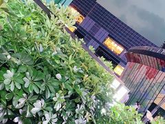 -牛角村(大族广场店)