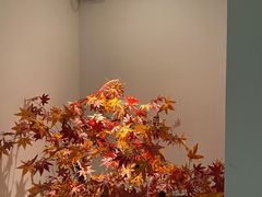 -和里合·颜愈SPA·Relax瑶浴·Massage(石厦店)