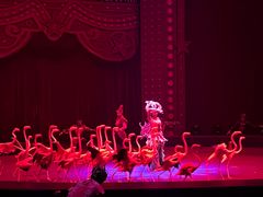 -珠海横琴长隆《卡卡虎奇遇记》