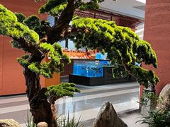 -许爷家·生态湖鲜(徐汇日月光店)