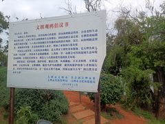 -大理洱海