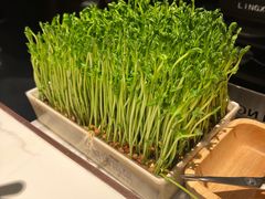 鲜活体豆苗-领鲜天下·焗海鲜·花胶鸡(天目里店)