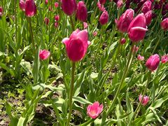 -长春公园(普阳街道)