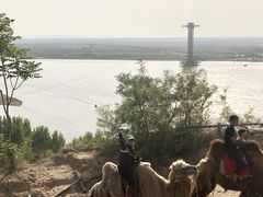 -古柏渡飞黄旅游区