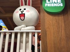-line friends(明洞旗舰店)