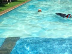 -汪说喵讲宠物乐园宠物酒店(红星美凯龙店)