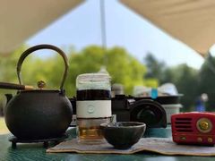 -上海共青森林公园