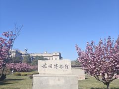 -旅顺博物馆