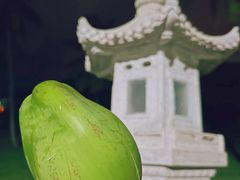 -三亚南山文化旅游区