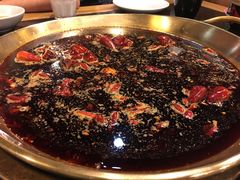 -杨家火锅(国美店)