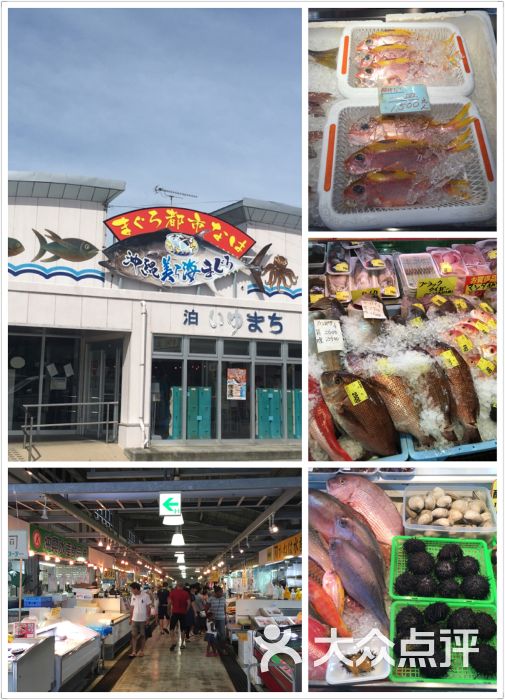 泊港鱼市场图片 - 第9张