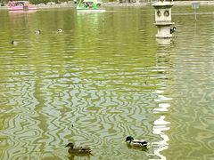 -团结湖公园