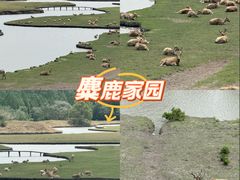 -溱湖国家湿地公园