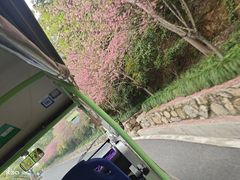 -杭州半山国家森林公园