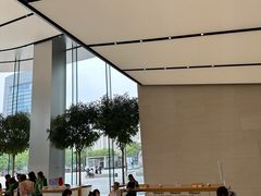 -Apple零售店(苏州店)