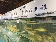 水产区-胖姐渔村(中源大道店)