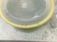 -星粉面大王城(德馨园店)