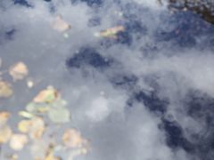 -亚历山大·涅夫斯基修道院