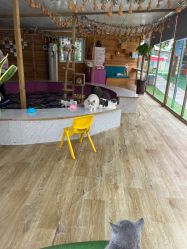 -萌宠亲子动物乐园(槐房万达店)