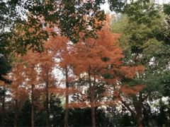 -苏州河梦清园环保主题公园