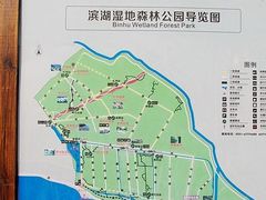 -合肥滨湖国家森林公园