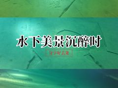 -白鹤梁水下博物馆