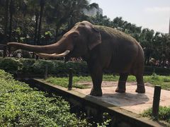 -重庆动物园·东二门售票处