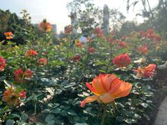 -人民公园(罗湖区)