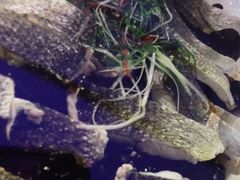-202特色排档(五缘湾店)