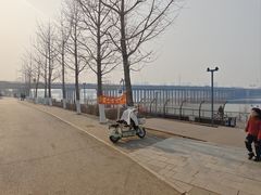 -长白岛森林公园