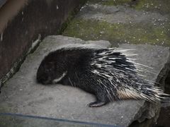 -宁波野生动物园
