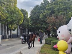 -正宗李家土鸡米线店