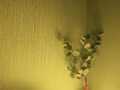 -禧瑞 ·丝浴主题·水疗·spa(中山公园店)
