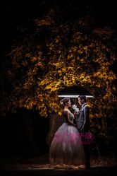 -施华洛婚纱摄影会所(范阳中路店)