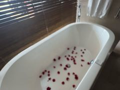 -青岛海尔洲际酒店